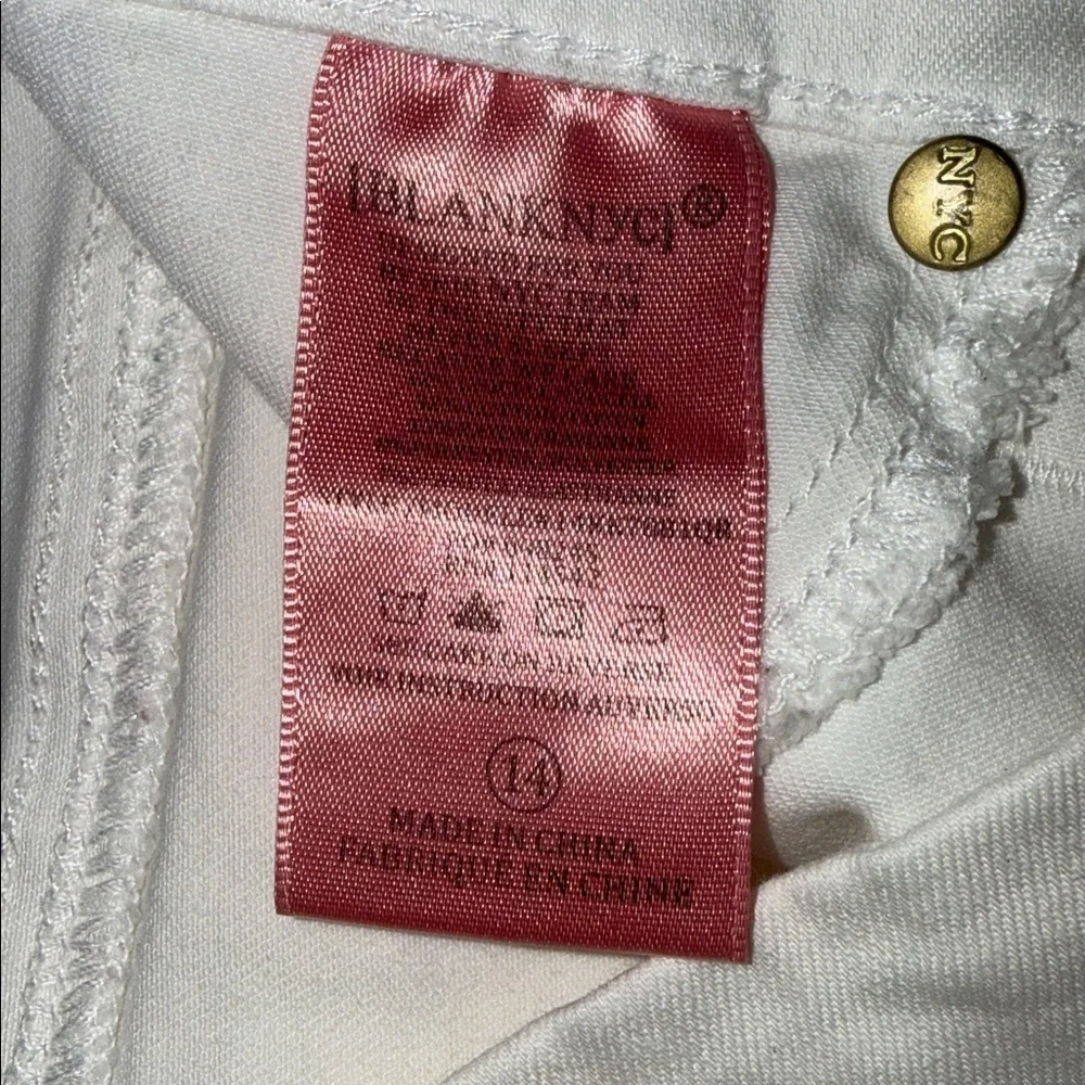 Blank NYC jean shorts